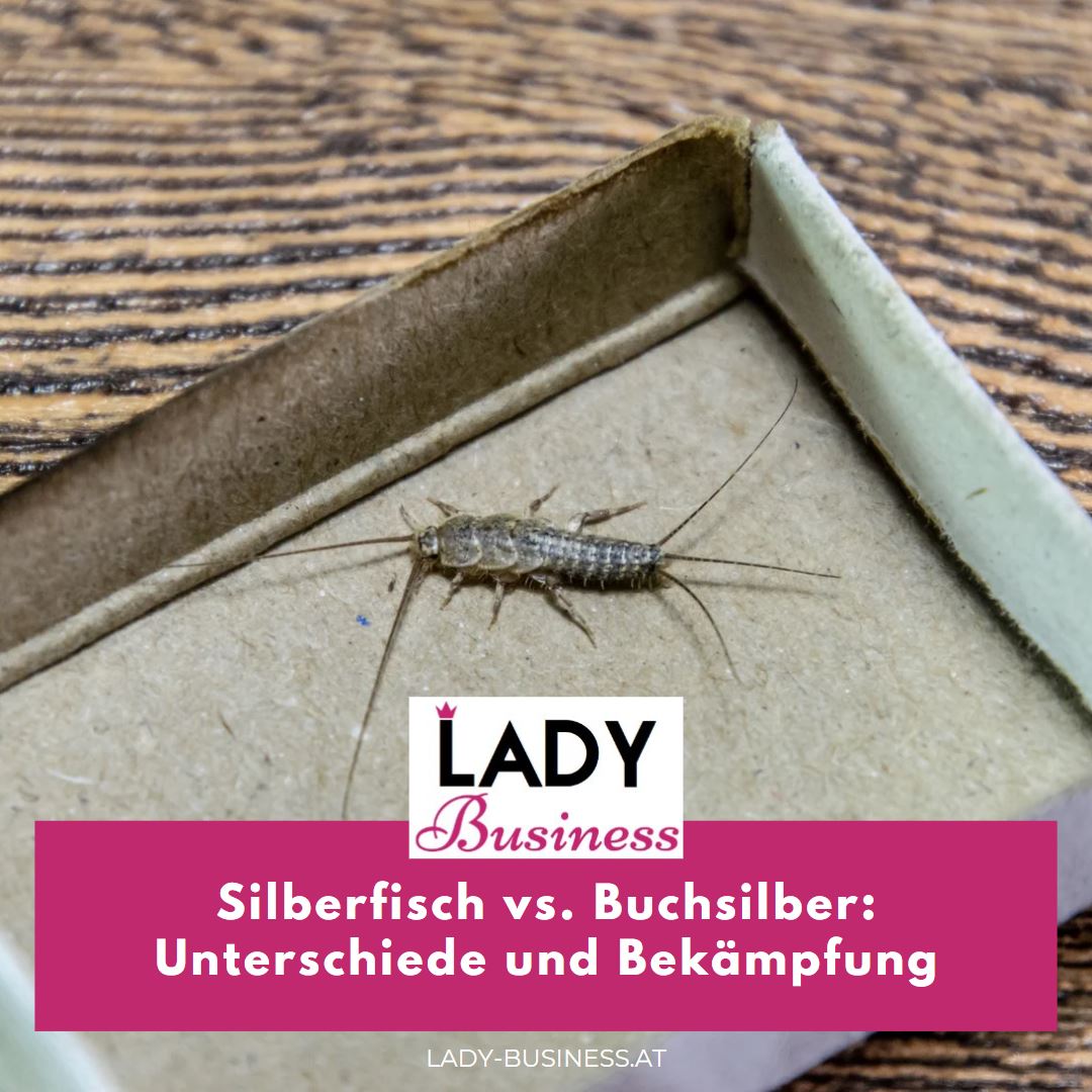 Silberfisch vs. Buchsilber Unterschiede und Bekämpfung Silberfisch vs. Buchsilber Unterschiede und Bekämpfung