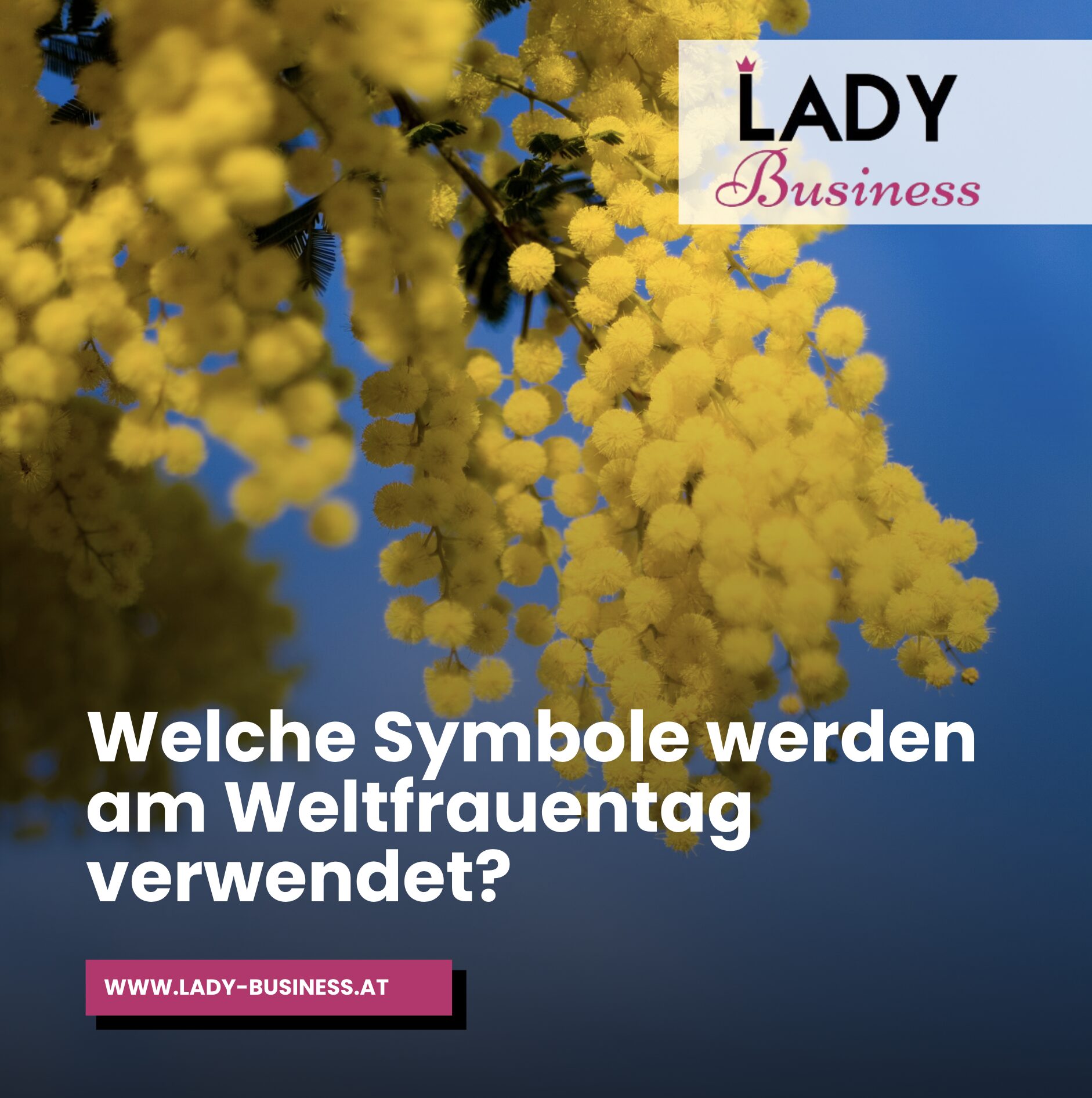 Welche Symbole werden am Weltfrauentag verwendet? Welche Symbole werden am Weltfrauentag verwendet?