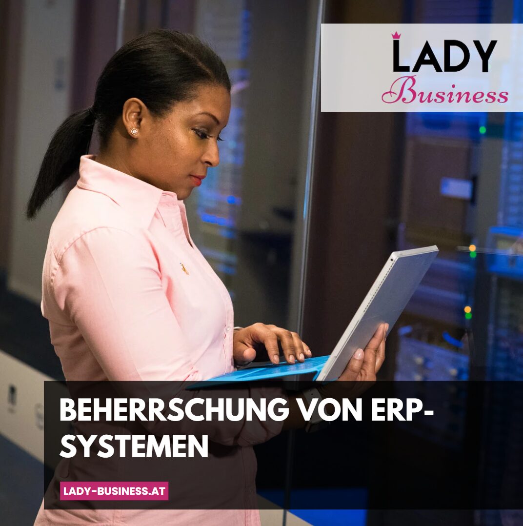 beherrschung von erp systemen beherrschung von erp systemen