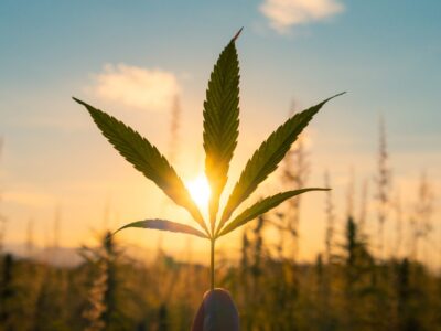 Cannabis und Flugreisen: Kann man medizinisches Cannabis mit auf den Flug nehmen?