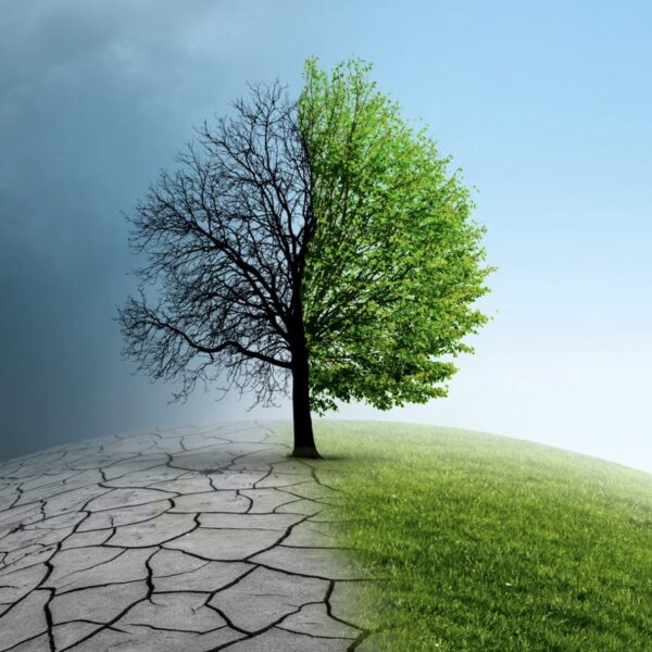 Carla Reemtsma Vermögen