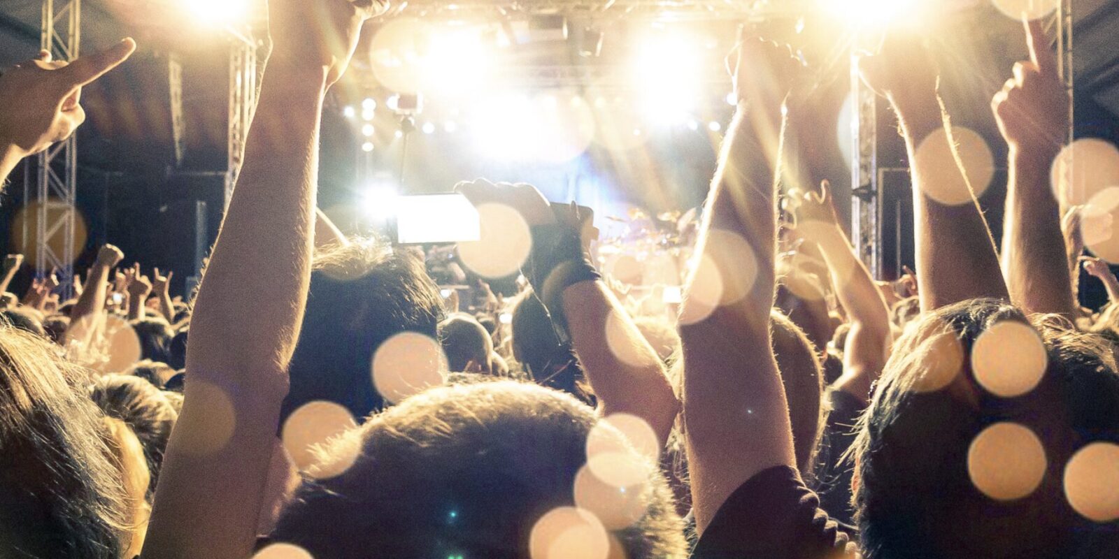 Katja Krasavice Vermögen