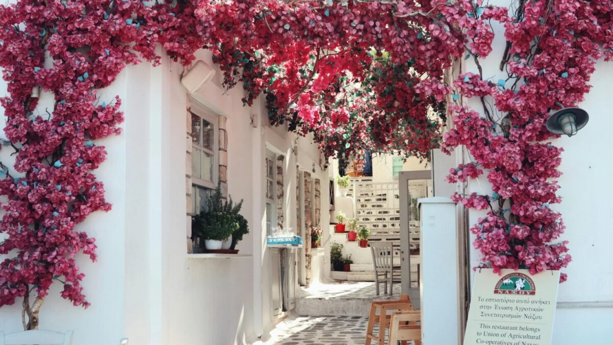 Naxos – Die perfekte Kykladeninsel für eine unvergessliche Solo-Reise