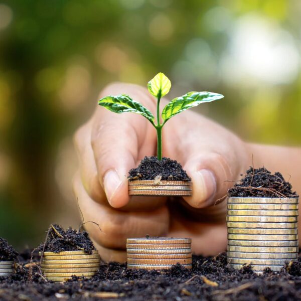 Finanzielle Unabhängigkeit: So investieren Sie erfolgreich in Österreich