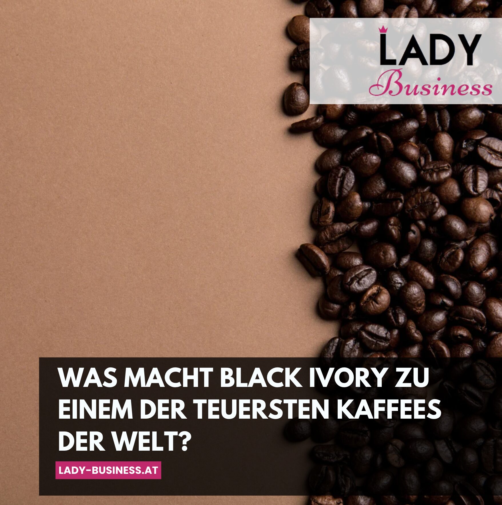 Was macht Black Ivory zu einem der teuersten Kaffees der Welt?
