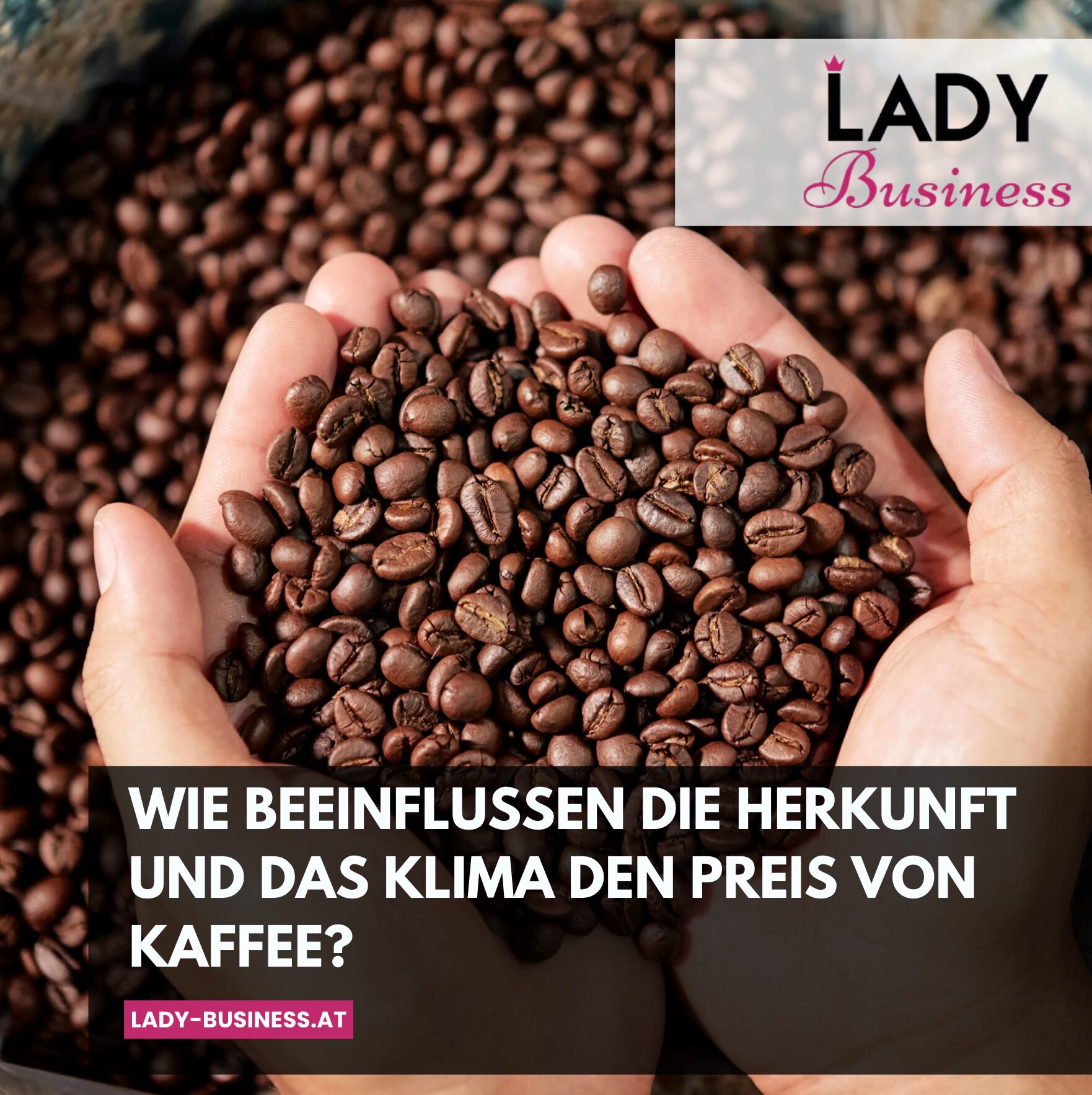 Wie beeinflussen die Herkunft und das Klima den Preis von Kaffee?