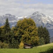 Wohlfühlmomente