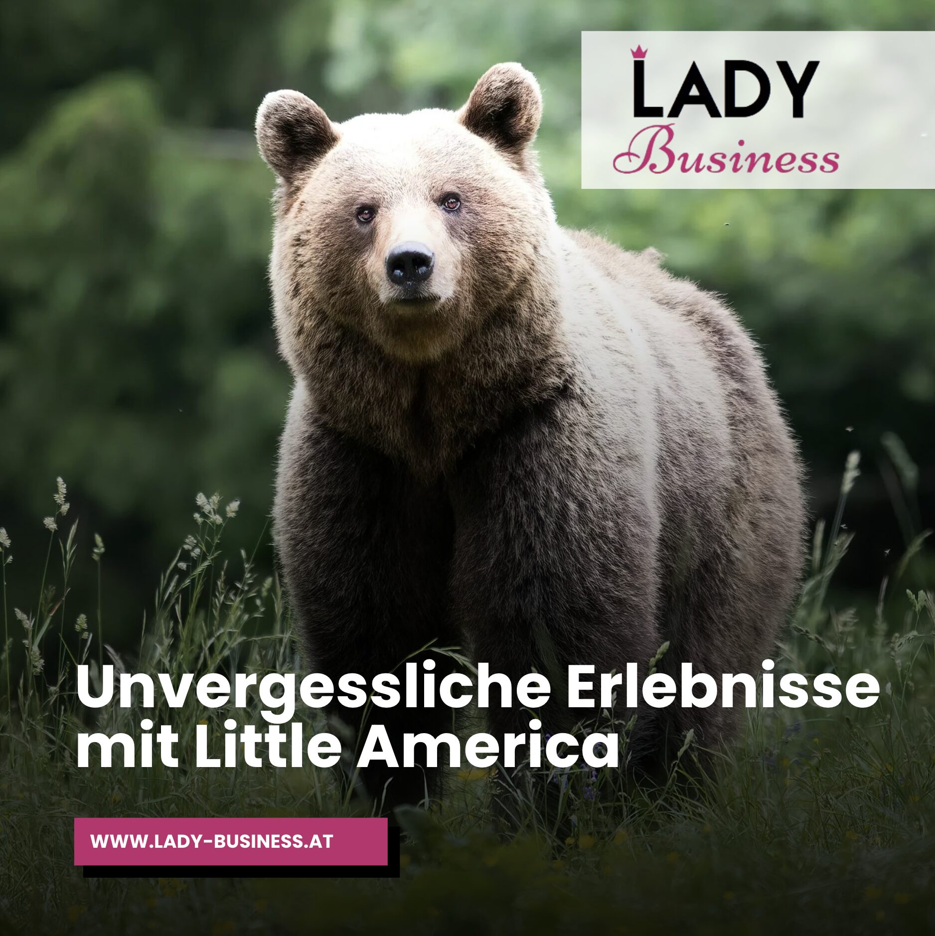 Unvergessliche Erlebnisse mit Little America Unvergessliche Erlebnisse mit Little America