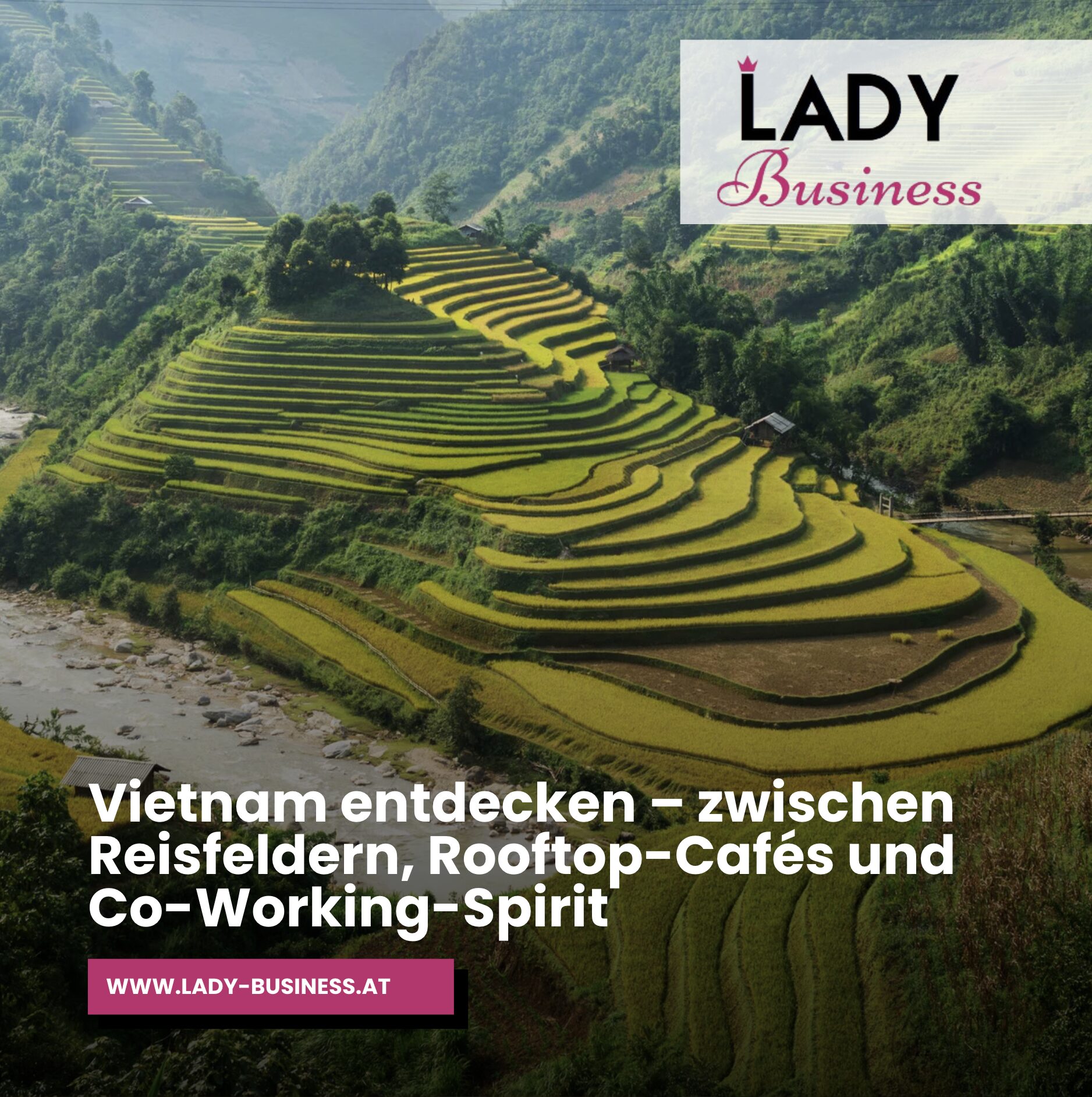 Vietnam entdecken – zwischen Reisfeldern, Rooftop-Cafés und Co-Working-Spirit