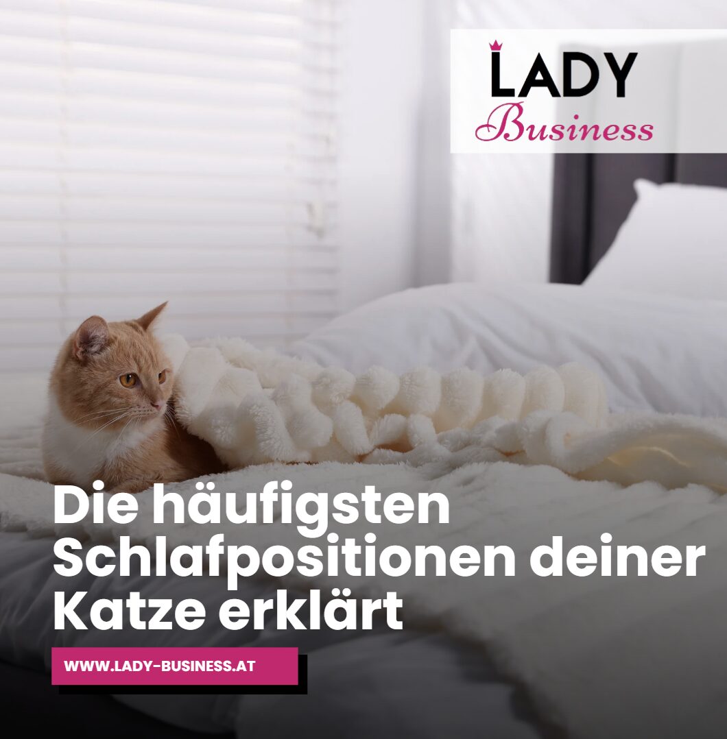 Warum liegen Katzen am Fußende Die häufigsten Schlafpositionen deiner Katze erklärt Warum liegen Katzen am Fußende Die häufigsten Schlafpositionen deiner Katze erklärt