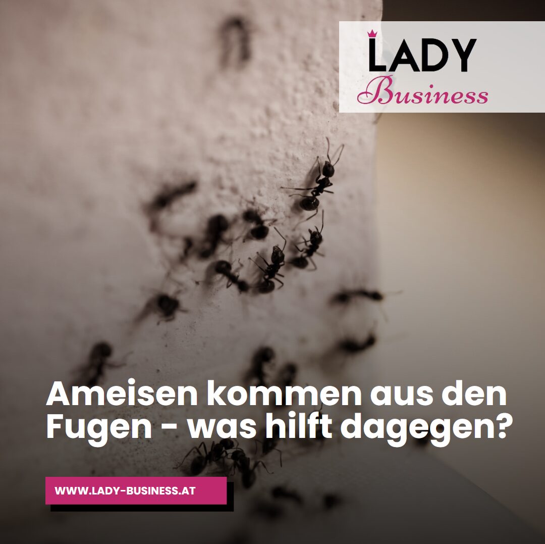 Ameisen kommen aus den Fugen - was hilft dagegen? Ameisen kommen aus den Fugen - was hilft dagegen?