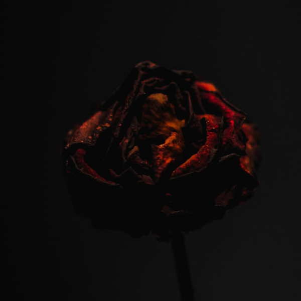 Dark Romance Bücher Top 10