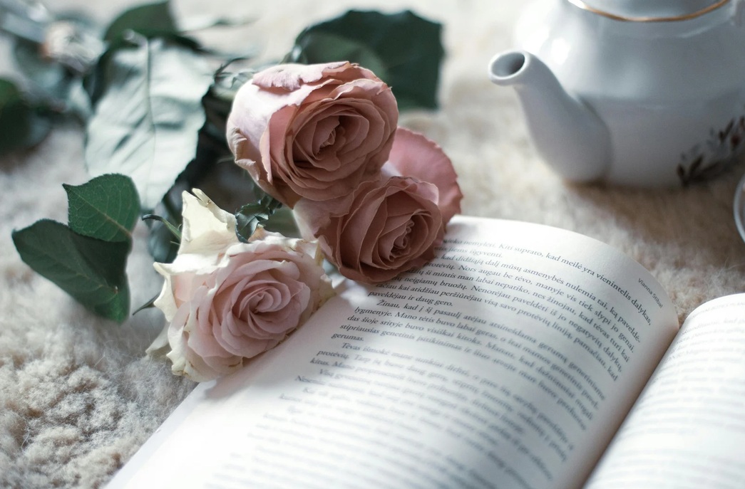 20 erfolgreiche Bookstagrammer